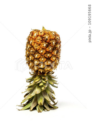 Inverted ripe pineapple on white background Inverted ripe pineapple on white background 109195668