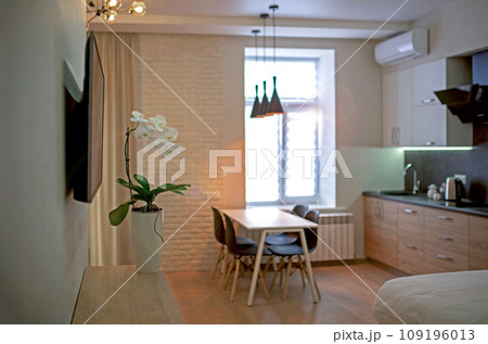 Small room with a sofa and kitchen set. Interior living room and kitchen. Interior of compact small house. Interior cottage Cooking area next to sofa. white orchid in a pot stands in the living room 109196013