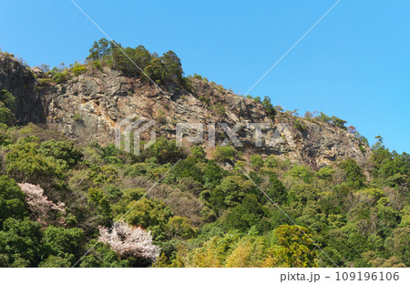 春の遠見山 岐阜県川辺町 春の遠見山 岐阜県川辺町 109196106