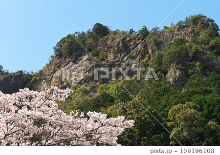 春の遠見山　岐阜県川辺町 109196108