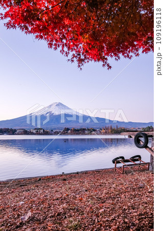 富士山 紅葉 河口湖 山梨 富士山 紅葉 河口湖 山梨 109196118