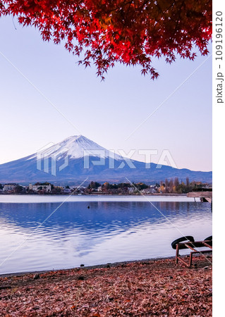 富士山 紅葉 河口湖 山梨 富士山 紅葉 河口湖 山梨 109196120