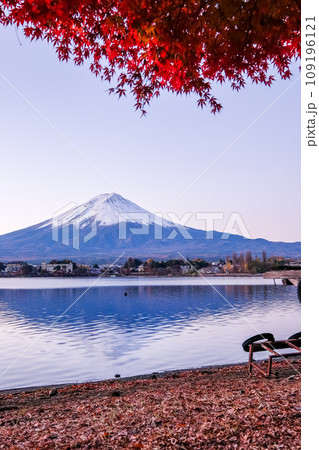 富士山 紅葉 河口湖 山梨 富士山 紅葉 河口湖 山梨 109196121