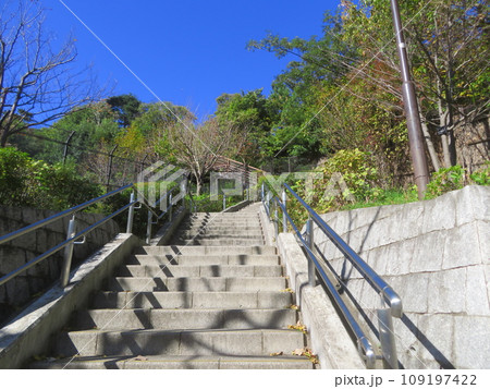 佐伯山緑地の急な階段 佐伯山緑地の急な階段 109197422