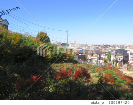 佐伯山緑地の高台から見える風景 109197426
