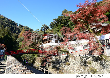 赤い橋と紅葉 赤い橋と紅葉 109197450