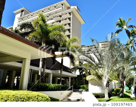 ハワイの休日 109197465