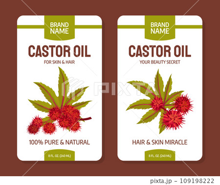 Castor Plant Oil Label Design with Leaves and Inflorescence Vector Template Castor Plant Oil Label Design with Leaves and Inflorescence Vector Template 109198222