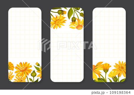 Arnica Herb Nature Notepad Design with Meadow Flower Vector Template 109198364