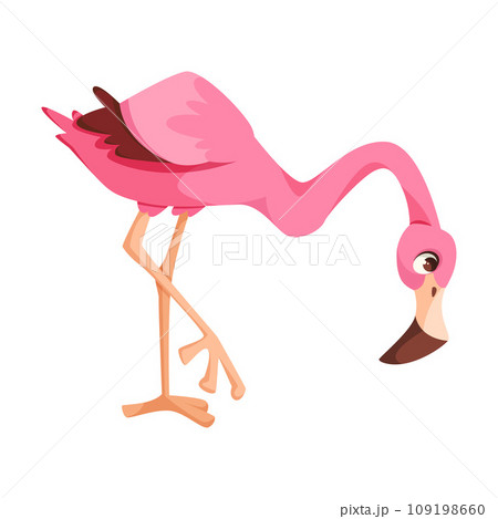 Pink Flamingo Character with Long Neck and Legs Bending Vector Illustration Pink Flamingo Character with Long Neck and Legs Bending Vector Illustration 109198660