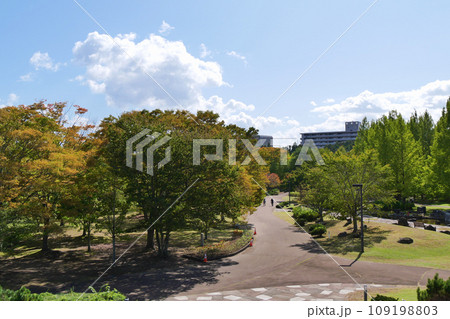 七北田公園（宮城県仙台市） 109198803