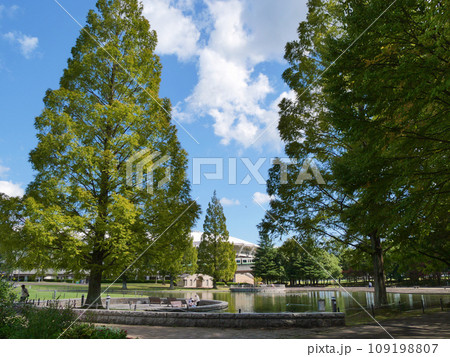 七北田公園(宮城県仙台市) 七北田公園(宮城県仙台市) 109198807