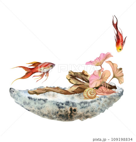 Hand drawn watercolor aquarium fish, algae with bog wood, snails shells. Marine exotic underwater illustration. Isolated on white background. Design for shops, brochure, print, card, wall art, textile Hand drawn watercolor aquarium fish, algae with bog wood, snails shells. Marine exotic underwater illustration. Isolated on white background. Design for shops, brochure, print, card, wall art, textile 109198834