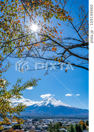 新倉山浅間公園 雄大な富士山と桜の紅葉 秋 光芒 新倉山浅間公園 雄大な富士山と桜の紅葉 秋 光芒 109198960