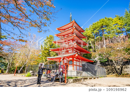 忠霊塔　朱塗りの五重塔　桜の紅葉　秋の新倉山浅間公園 109198962