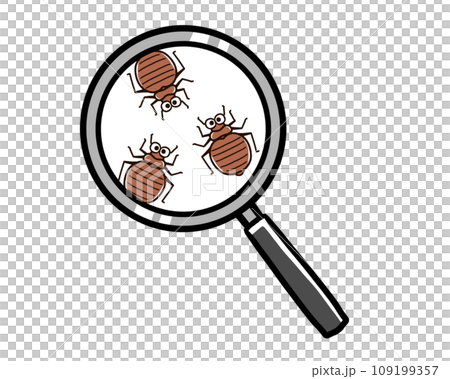 bed bugs and magnifying glass 109199357