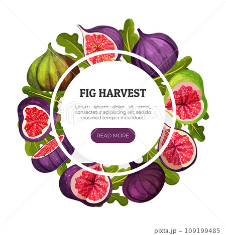 Fig Fruit Banner Design with Green Leaf Vector Template 109199485