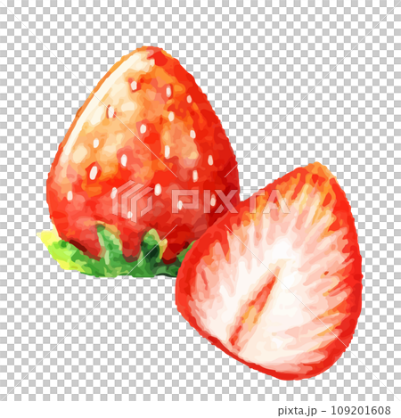 水彩草莓插圖 109201608