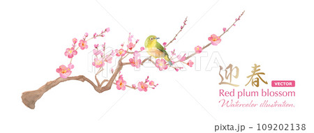 早春の花：梅の花とメジロの水彩イラスト。紅梅と小鳥。日本文化。（ベクター） 109202138