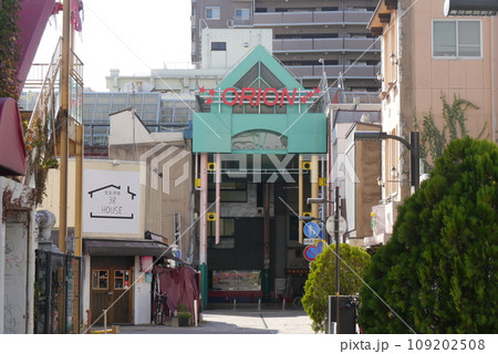 宇都宮市民の憩いの場、オリオン通り。 宇都宮市民の憩いの場、オリオン通り。 109202508