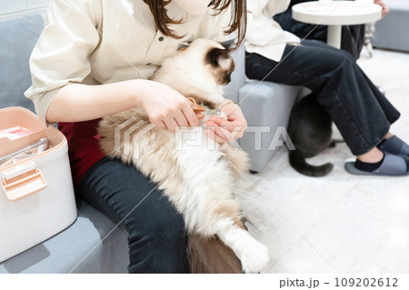 猫の爪切り 猫の爪切り 109202612