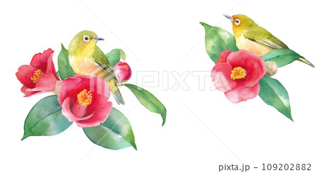 赤いツバキと野鳥(メジロ)の水彩イラスト。2隅装飾フレーム。バナー。ヤブツバキ。 赤いツバキと野鳥(メジロ)の水彩イラスト。2隅装飾フレーム。バナー。ヤブツバキ。 109202882