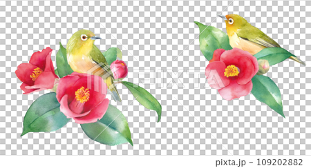 赤いツバキと野鳥(メジロ)の水彩イラスト。2隅装飾フレーム。バナー。ヤブツバキ。 赤いツバキと野鳥(メジロ)の水彩イラスト。2隅装飾フレーム。バナー。ヤブツバキ。 109202882