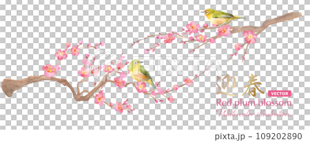Early spring flowers: watercolor illustration of plum blossoms and white-eye. Red plum and small bird. Japanese culture. (vector) 109202890