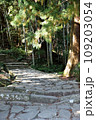 熊野古道の石畳階段 109203054