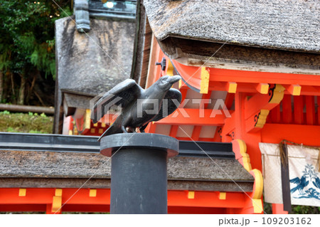 熊野神社の八咫烏 109203162