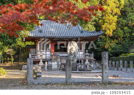 秋の京都 紅葉と醍醐寺の不動堂 秋の京都 紅葉と醍醐寺の不動堂 109203415