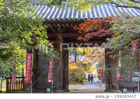 秋の京都 紅葉と醍醐寺の日月門 秋の京都 紅葉と醍醐寺の日月門 109203417