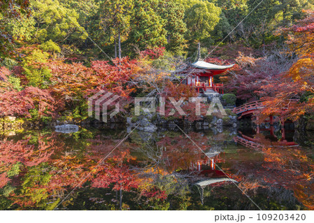 秋の京都 醍醐寺 紅葉に包まれた弁天堂のリフレクション(林泉) 秋の京都 醍醐寺 紅葉に包まれた弁天堂のリフレクション(林泉) 109203420