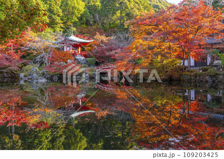 秋の京都　醍醐寺　紅葉に包まれた弁天堂のリフレクション（林泉） 109203425