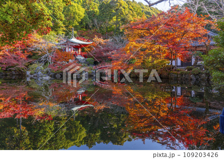 秋の京都 醍醐寺 紅葉に包まれた弁天堂のリフレクション(林泉) 秋の京都 醍醐寺 紅葉に包まれた弁天堂のリフレクション(林泉) 109203426