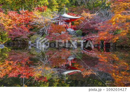 秋の京都 醍醐寺 紅葉に包まれた弁天堂のリフレクション(林泉) 秋の京都 醍醐寺 紅葉に包まれた弁天堂のリフレクション(林泉) 109203427