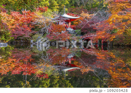 秋の京都　醍醐寺　紅葉に包まれた弁天堂のリフレクション（林泉） 109203428
