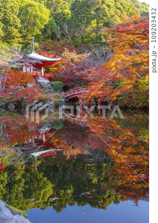 秋の京都 醍醐寺 紅葉に包まれた弁天堂のリフレクション(林泉) 秋の京都 醍醐寺 紅葉に包まれた弁天堂のリフレクション(林泉) 109203432