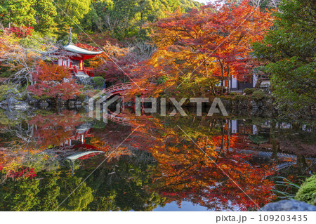 秋の京都　醍醐寺　紅葉に包まれた弁天堂のリフレクション（林泉） 109203435