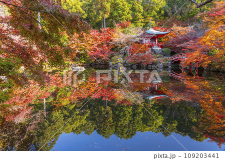 秋の京都　醍醐寺　紅葉に包まれた弁天堂のリフレクション（林泉） 109203441