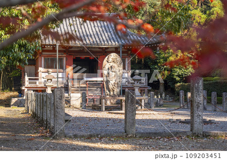 秋の京都　紅葉と醍醐寺の不動堂 109203451