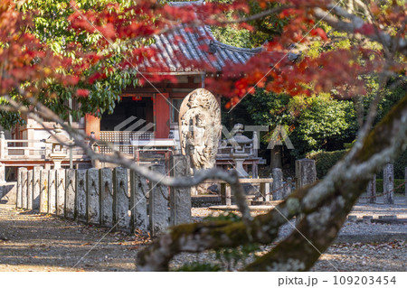 秋の京都　紅葉と醍醐寺の不動堂 109203454