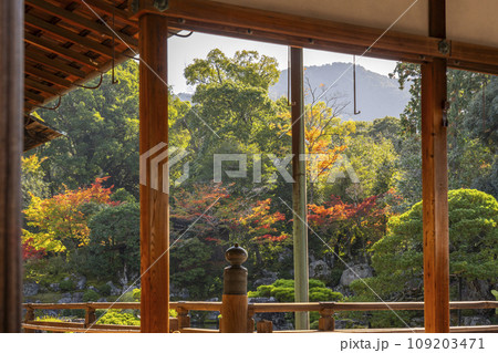秋の京都 醍醐寺 紅葉の三宝院の庭園 秋の京都 醍醐寺 紅葉の三宝院の庭園 109203471