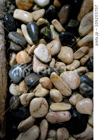 Stones on the footpath Stones on the footpath 109203707