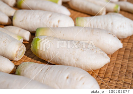 たくあん用大根の天日干し 109203877