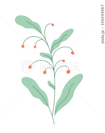 Flower with blooming bud vector. 109204067
