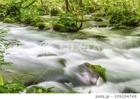 夏の奥入瀬渓流　三乱の流れ　青森県十和田市 109204749