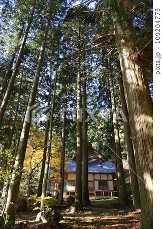 岡山県勝田郡奈義町にある浄土宗の寺「菩提寺」(全国銘木百選にも選ばれた大イチョウで有名) 岡山県勝田郡奈義町にある浄土宗の寺「菩提寺」(全国銘木百選にも選ばれた大イチョウで有名) 109204773