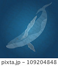 Hump-backed whale swimming in blue water 109204848