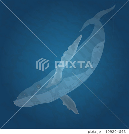 Hump-backed whale swimming in blue water 109204848